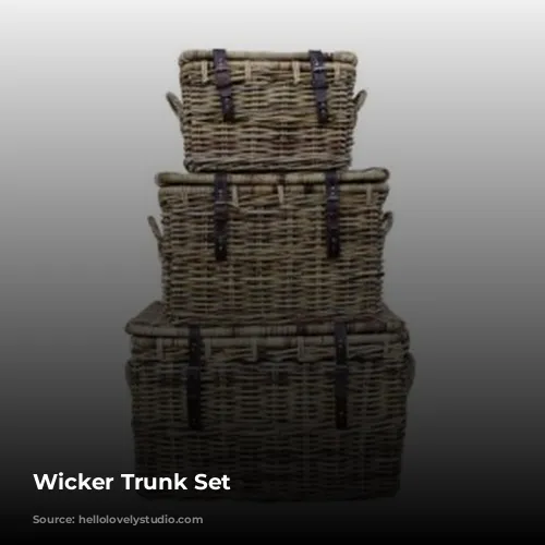 Wicker Trunk Set