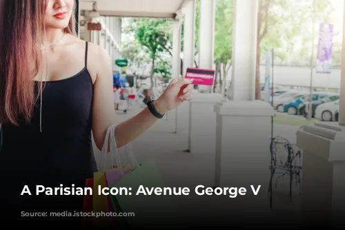 A Parisian Icon: Avenue George V