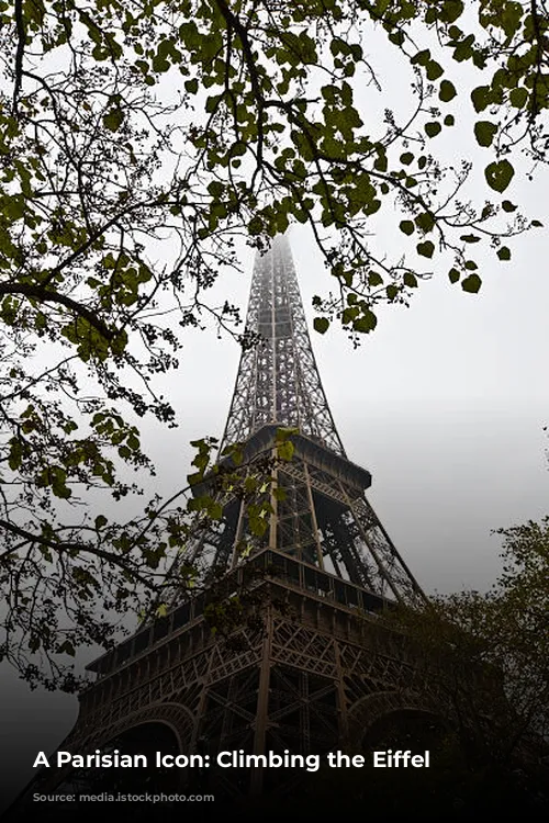 A Parisian Icon: Climbing the Eiffel Tower