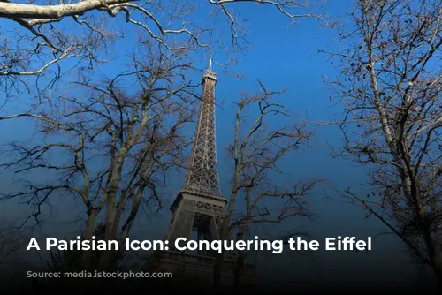 A Parisian Icon: Conquering the Eiffel Tower