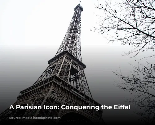 A Parisian Icon: Conquering the Eiffel Tower