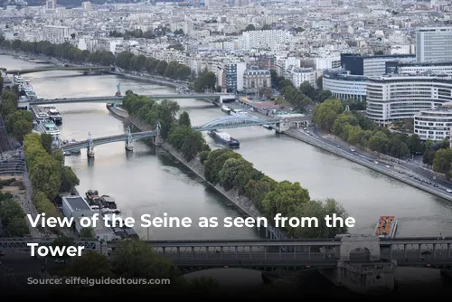 View of the Seine as seen from the Eiffel Tower