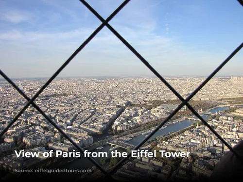 View of Paris from the Eiffel Tower