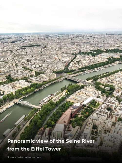 Panoramic view of the Seine River seen from the Eiffel Tower