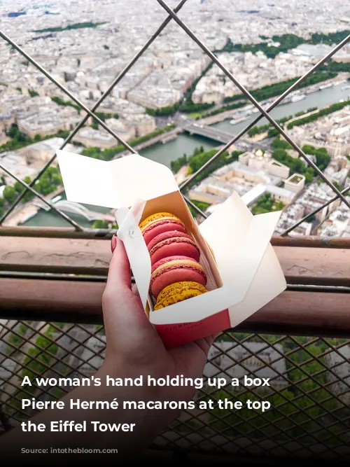 A woman's hand holding up a box of Pierre Hermé macarons at the top of the Eiffel Tower