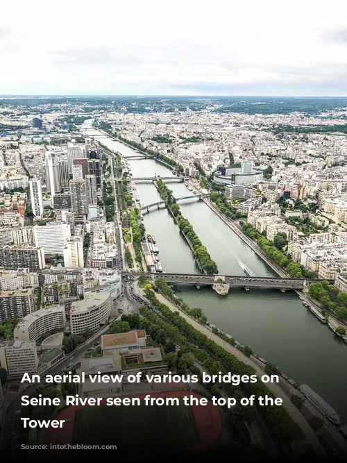 An aerial view of various bridges on the Seine River seen from the top of the Eiffel Tower