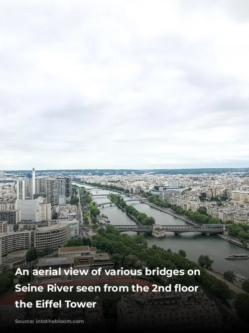 An aerial view of various bridges on the Seine River seen from the 2nd floor of the Eiffel Tower