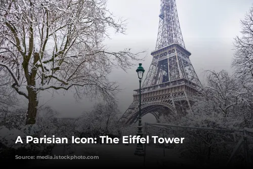 A Parisian Icon: The Eiffel Tower