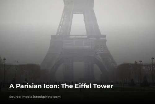 A Parisian Icon: The Eiffel Tower