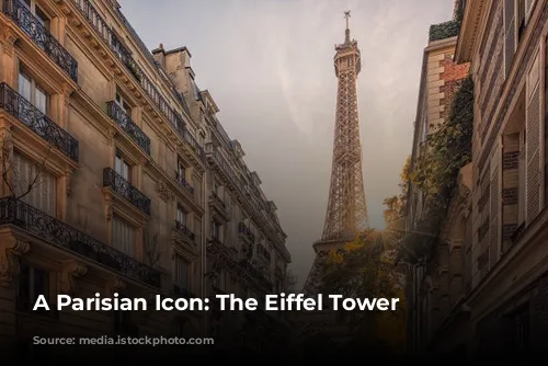 A Parisian Icon: The Eiffel Tower