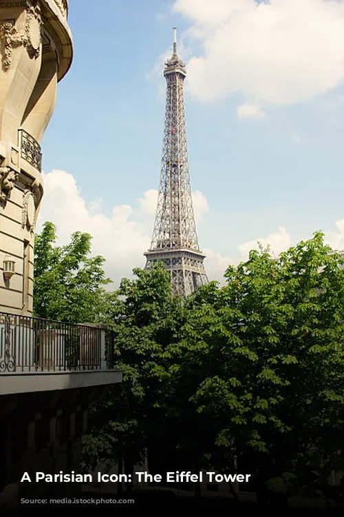 A Parisian Icon: The Eiffel Tower