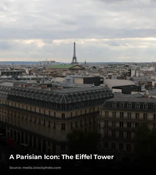 A Parisian Icon: The Eiffel Tower