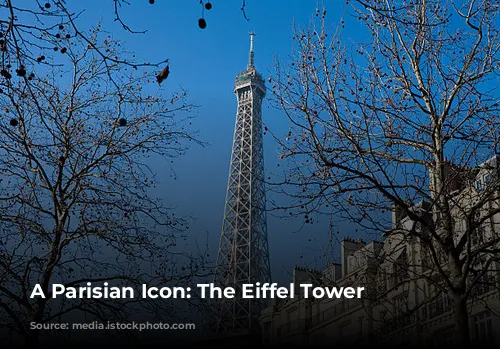 A Parisian Icon: The Eiffel Tower