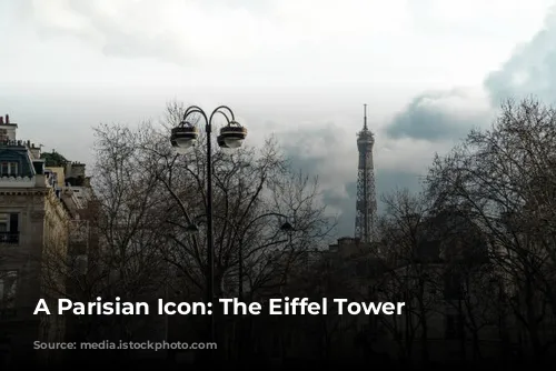 A Parisian Icon: The Eiffel Tower