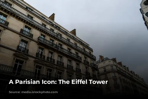 A Parisian Icon: The Eiffel Tower