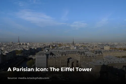 A Parisian Icon:  The Eiffel Tower