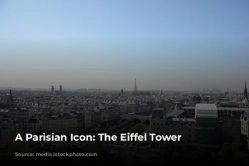 A Parisian Icon:  The Eiffel Tower