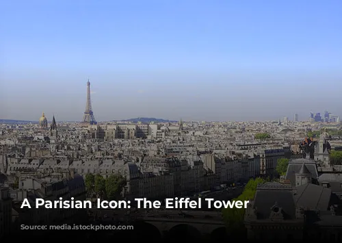 A Parisian Icon:  The Eiffel Tower