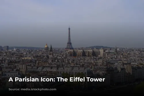 A Parisian Icon:  The Eiffel Tower