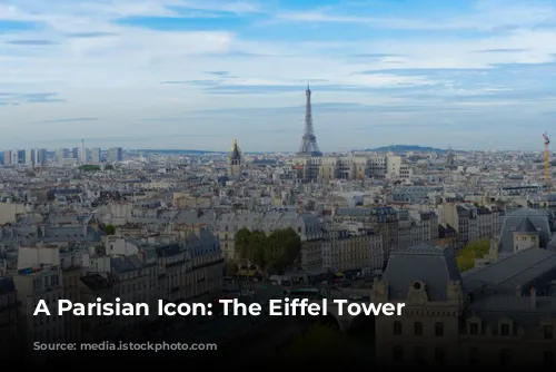 A Parisian Icon:  The Eiffel Tower