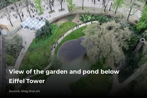 View of the garden and pond below the Eiffel Tower