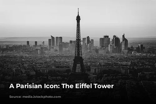 A Parisian Icon: The Eiffel Tower