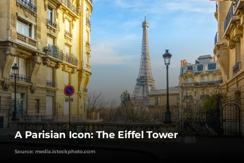 A Parisian Icon: The Eiffel Tower