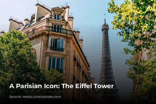 A Parisian Icon: The Eiffel Tower