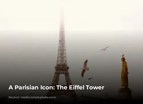 A Parisian Icon: The Eiffel Tower