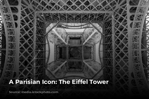 A Parisian Icon: The Eiffel Tower