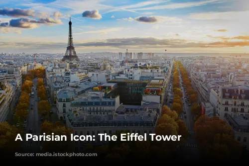 A Parisian Icon: The Eiffel Tower