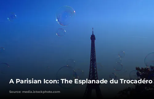 A Parisian Icon: The Esplanade du Trocadéro