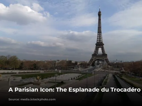 A Parisian Icon: The Esplanade du Trocadéro