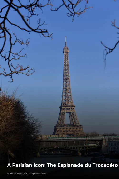 A Parisian Icon: The Esplanade du Trocadéro