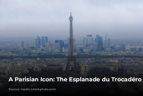 A Parisian Icon: The Esplanade du Trocadéro