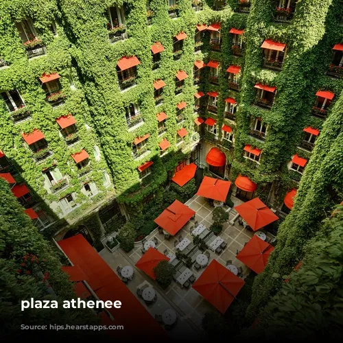 plaza athenee