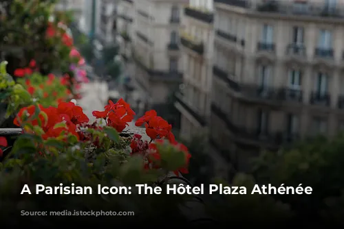 A Parisian Icon: The Hôtel Plaza Athénée