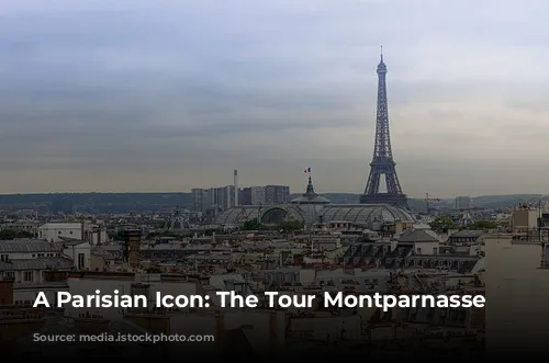 A Parisian Icon: The Tour Montparnasse