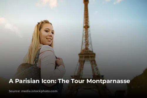 A Parisian Icon: The Tour Montparnasse