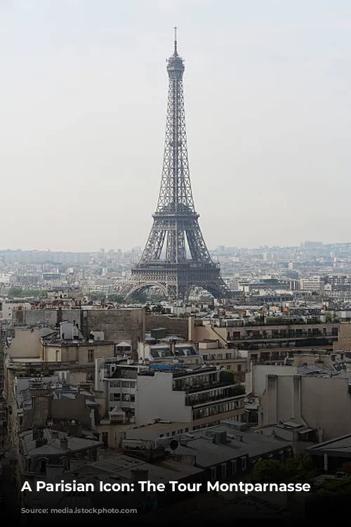 A Parisian Icon: The Tour Montparnasse