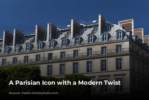 A Parisian Icon with a Modern Twist