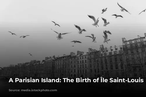 A Parisian Island: The Birth of Île Saint-Louis