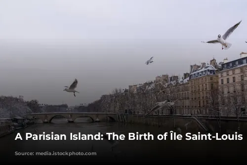 A Parisian Island: The Birth of Île Saint-Louis