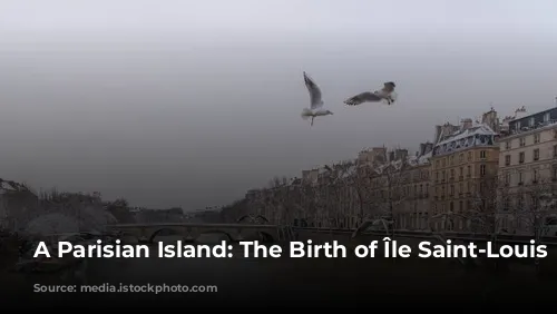 A Parisian Island: The Birth of Île Saint-Louis