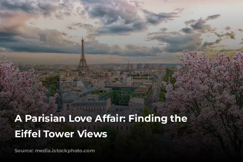 A Parisian Love Affair: Finding the Best Eiffel Tower Views