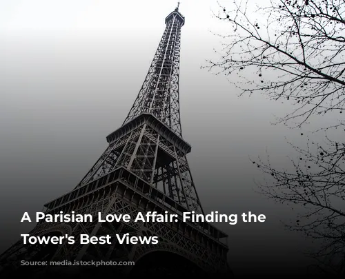 A Parisian Love Affair: Finding the Eiffel Tower's Best Views