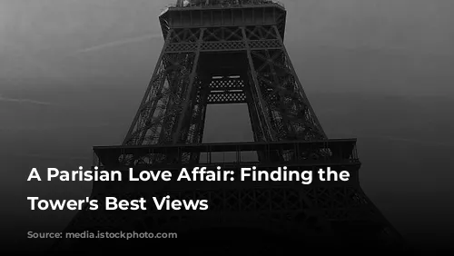 A Parisian Love Affair: Finding the Eiffel Tower's Best Views