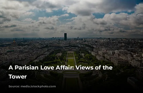 A Parisian Love Affair: Views of the Eiffel Tower