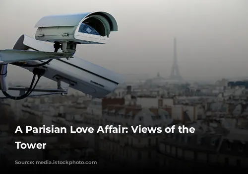 A Parisian Love Affair: Views of the Eiffel Tower