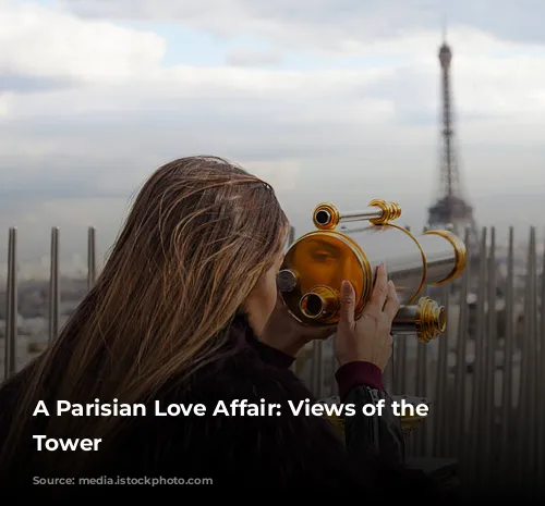 A Parisian Love Affair: Views of the Eiffel Tower